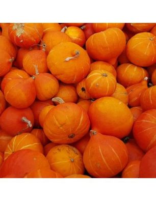 Sementes Abóbora Hokkaido 'Red Kuri'